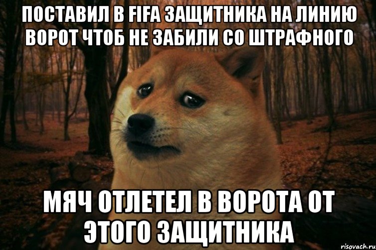 Поставил в Fifa защитника на линию ворот чтоб не забили со штрафного Мяч отлетел в ворота от этого защитника, Мем SAD DOGE