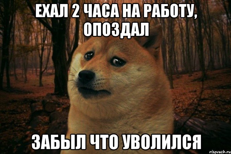 Ехал 2 часа на работу, опоздал Забыл что уволился, Мем SAD DOGE