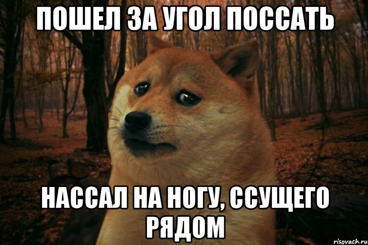 Пошел за угол поссать Нассал на ногу, ссущего рядом, Мем SAD DOGE