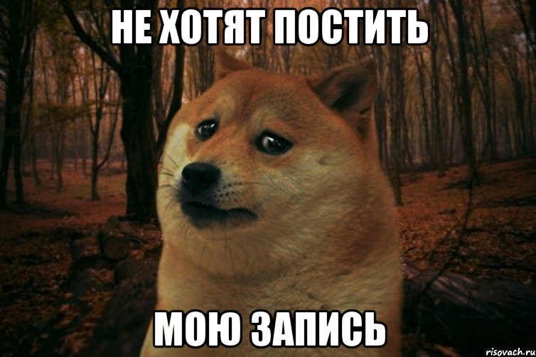 Не хотят постить мою запись, Мем SAD DOGE