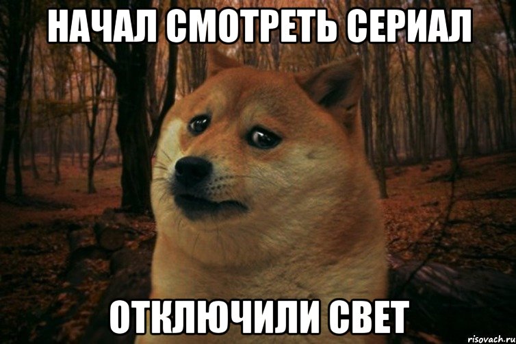 начал смотреть сериал отключили свет, Мем SAD DOGE