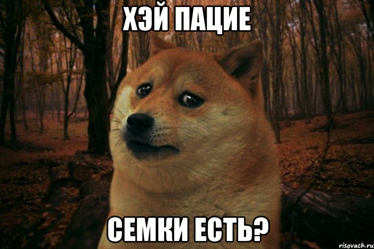 ХЭЙ ПАЦИЕ СЕМКИ ЕСТЬ?, Мем SAD DOGE