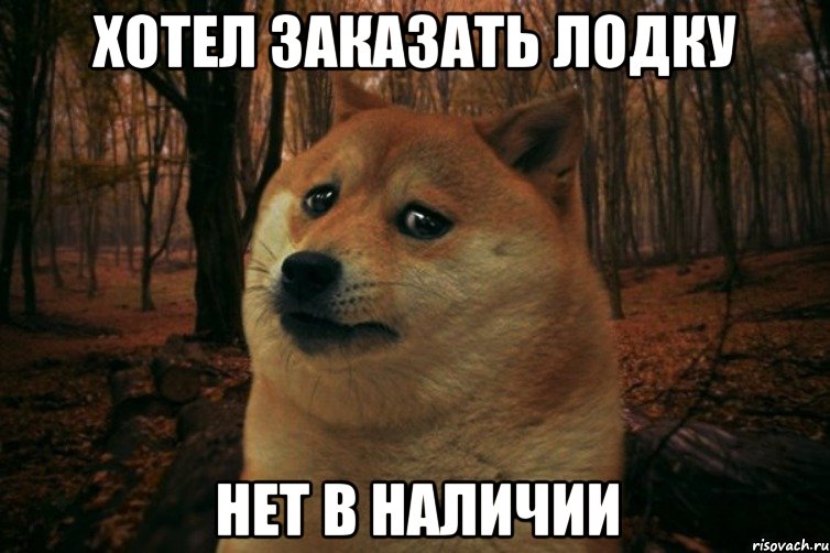 Хотел заказать Лодку НЕТ В НАЛИЧИИ, Мем SAD DOGE