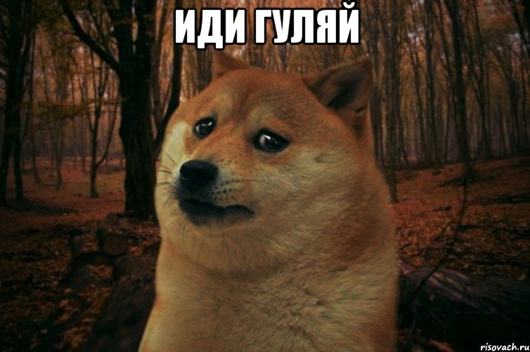 Иди гуляй , Мем SAD DOGE