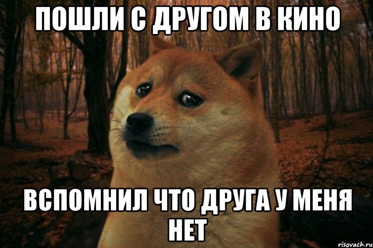 Пошли с другом в кино вспомнил что друга у меня нет, Мем SAD DOGE