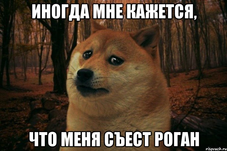 ИНОГДА МНЕ КАЖЕТСЯ, ЧТО МЕНЯ СЪЕСТ РОГАН, Мем SAD DOGE