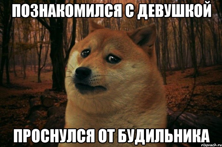 ПОЗНАКОМИЛСЯ С ДЕВУШКОЙ ПРОСНУЛСЯ ОТ БУДИЛЬНИКА, Мем SAD DOGE