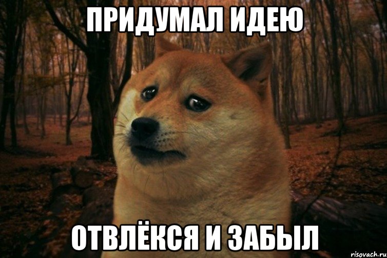 ПРИДУМАЛ ИДЕЮ ОТВЛЁКСЯ И ЗАБЫЛ, Мем SAD DOGE