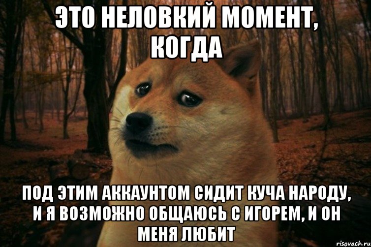 это неловкий момент, когда под этим аккаунтом сидит куча народу, и я возможно общаюсь с игорем, и он меня любит, Мем SAD DOGE