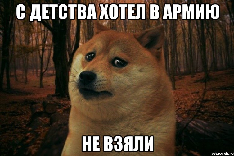 с детства хотел в армию не взяли, Мем SAD DOGE