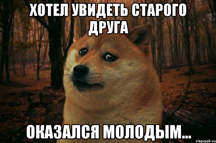 Хотел увидеть старого друга Оказался молодым..., Мем SAD DOGE