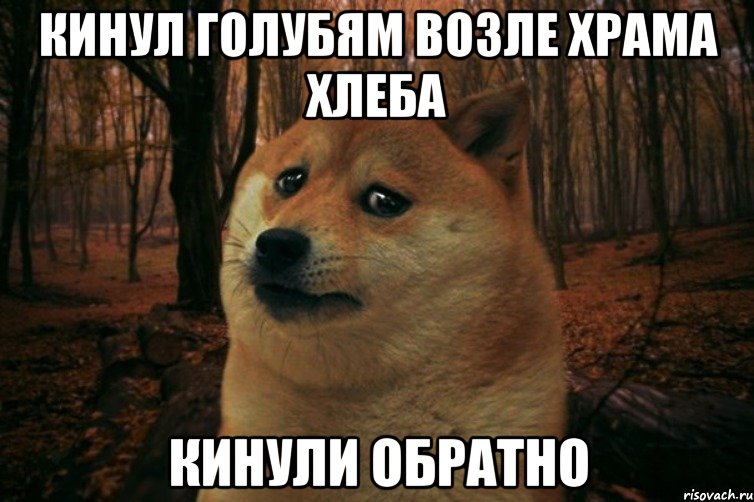 КИНУЛ ГОЛУБЯМ ВОЗЛЕ ХРАМА ХЛЕБА КИНУЛИ ОБРАТНО, Мем SAD DOGE