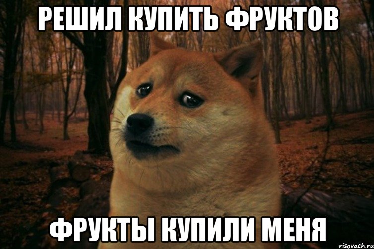 решил купить фруктов фрукты купили меня, Мем SAD DOGE