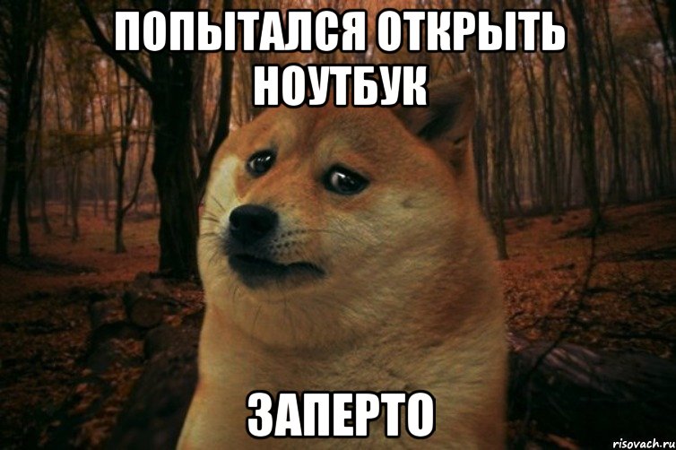 попытался открыть ноутбук заперто, Мем SAD DOGE