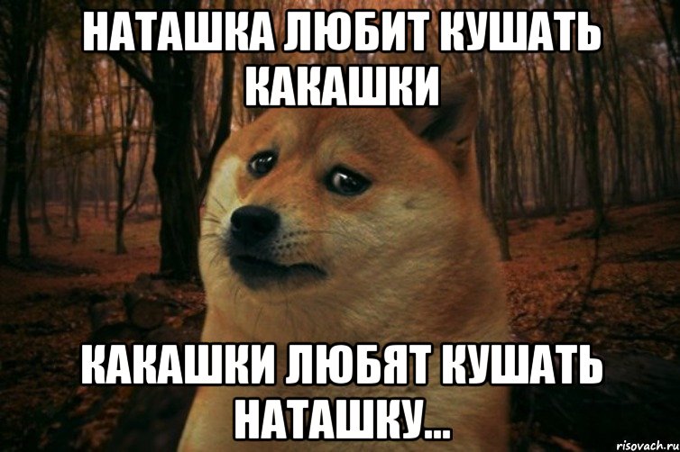 Наташка любит кушать какашки Какашки любят кушать Наташку..., Мем SAD DOGE