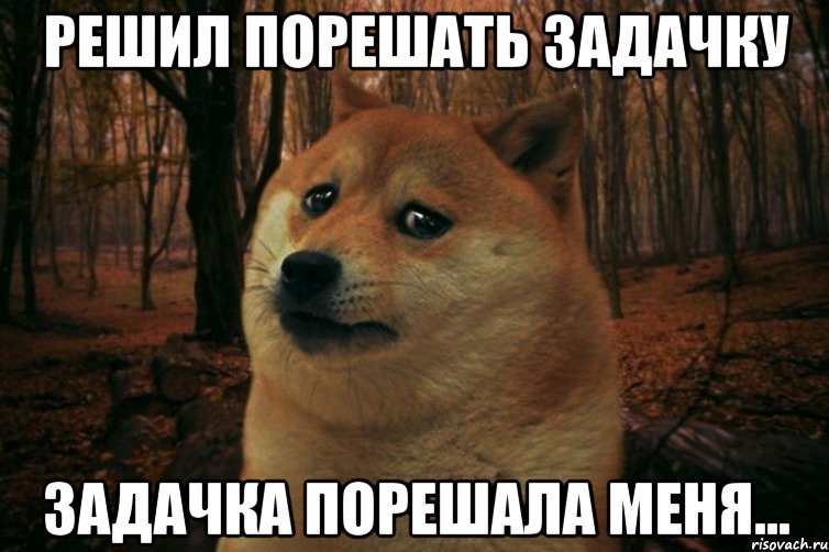 Решил порешать задачку Задачка порешала меня..., Мем SAD DOGE