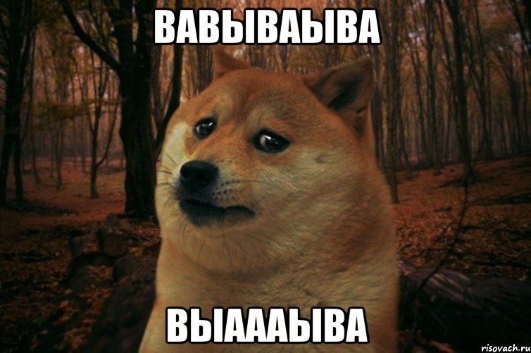 вавываыва выаааыва, Мем SAD DOGE