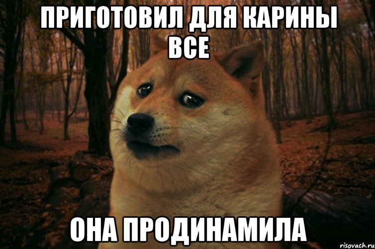 приготовил для Карины все она продинамила, Мем SAD DOGE