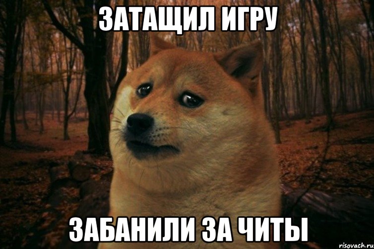 Затащил игру забанили за читы, Мем SAD DOGE