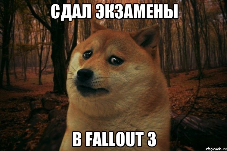 Сдал экзамены в Fallout 3, Мем SAD DOGE