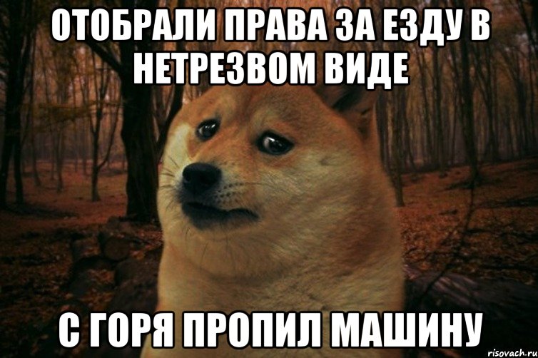 ОТОБРАЛИ ПРАВА ЗА ЕЗДУ В НЕТРЕЗВОМ ВИДЕ С ГОРЯ ПРОПИЛ МАШИНУ, Мем SAD DOGE