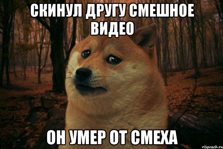 Скинул другу смешное видео Он умер от смеха, Мем SAD DOGE