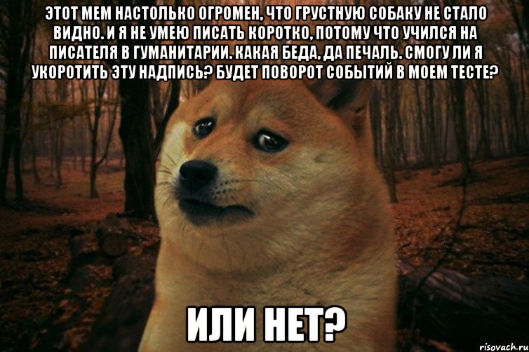 Этот мем настолько огромен, что грустную собаку не стало видно. И я не умею писать коротко, потому что учился на писателя в гуманитарии. Какая беда, да печаль. Смогу ли я укоротить эту надпись? Будет поворот событий в моем тесте? Или нет?, Мем SAD DOGE