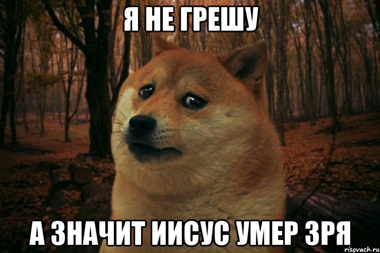 Я не грешу А значит Иисус умер зря, Мем SAD DOGE