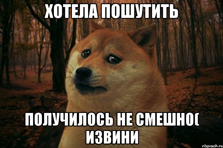 Хотела пошутить Получилось не смешно( извини, Мем SAD DOGE