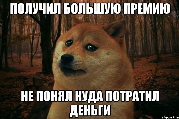 Получил большую премию Не понял куда потратил деньги, Мем SAD DOGE