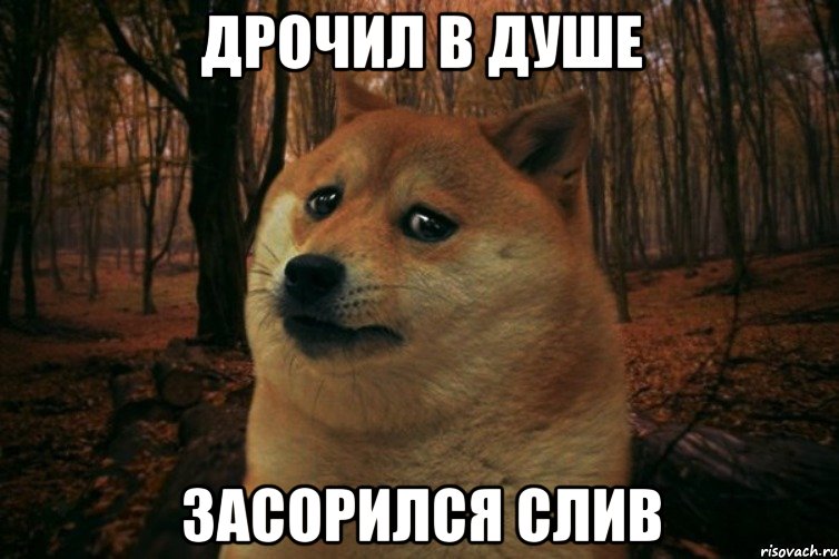 Дрочил в душе засорился слив, Мем SAD DOGE