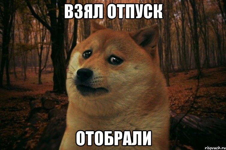 Взял отпуск Отобрали, Мем SAD DOGE