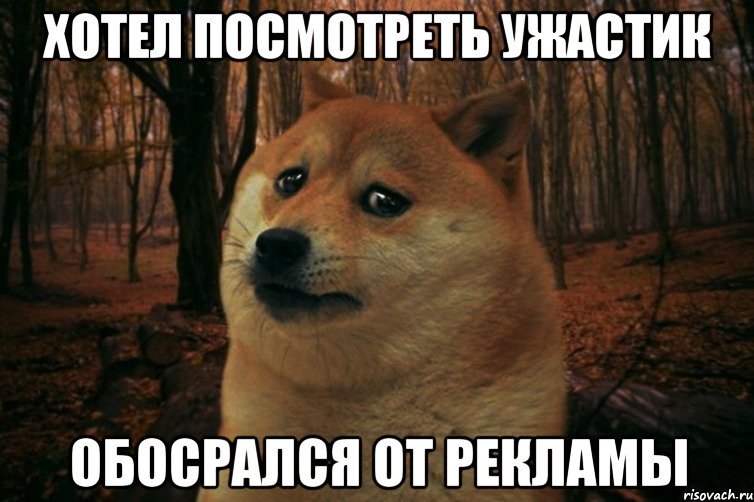 Хотел посмотреть ужастик Обосрался от рекламы, Мем SAD DOGE