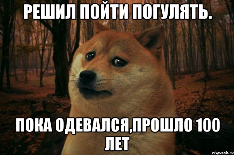 Решил пойти погулять. Пока одевался,прошло 100 лет, Мем SAD DOGE