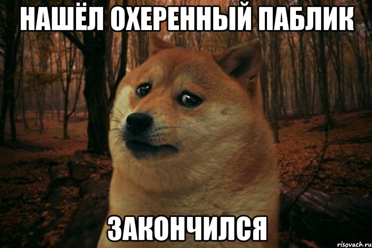 Нашёл охеренный паблик закончился, Мем SAD DOGE