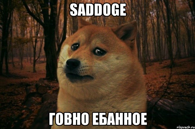 saddoge говно ебанное, Мем SAD DOGE