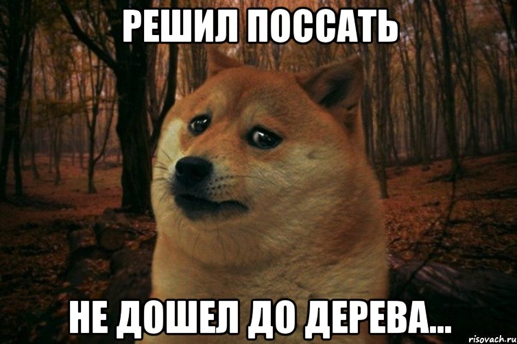 Решил поссать Не дошел до дерева..., Мем SAD DOGE