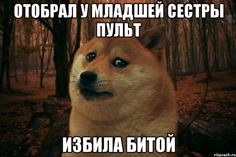 отобрал у младшей сестры пульт избила битой, Мем SAD DOGE