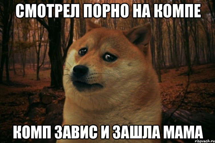 смотрел порно на компе комп завис и зашла мама, Мем SAD DOGE