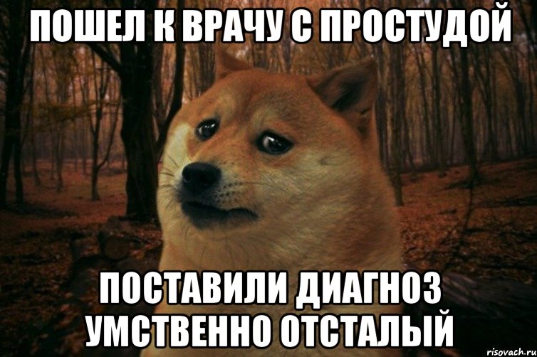 пошел к врачу с простудой поставили диагноз умственно отсталый, Мем SAD DOGE