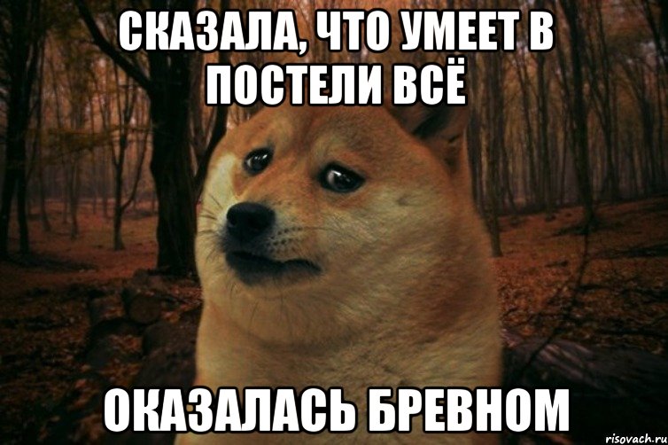 СКАЗАЛА, ЧТО УМЕЕТ В ПОСТЕЛИ ВСЁ ОКАЗАЛАСЬ БРЕВНОМ, Мем SAD DOGE