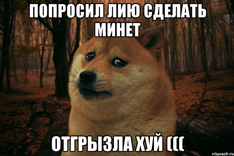 ПОПРОСИЛ ЛИЮ СДЕЛАТЬ МИНЕТ ОТГРЫЗЛА ХУЙ (((, Мем SAD DOGE