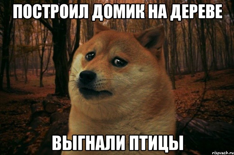 ПОСТРОИЛ ДОМИК НА ДЕРЕВЕ ВЫГНАЛИ ПТИЦЫ, Мем SAD DOGE