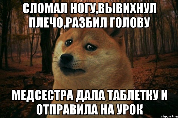 сломал ногу,вывихнул плечо,разбил голову медсестра дала таблетку и отправила на урок, Мем SAD DOGE