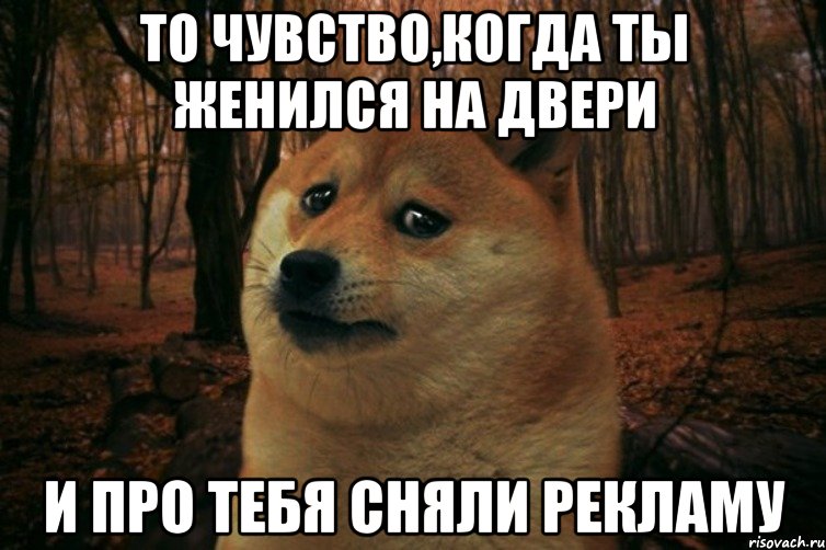 то чувство,когда ты женился на двери и про тебя сняли рекламу, Мем SAD DOGE