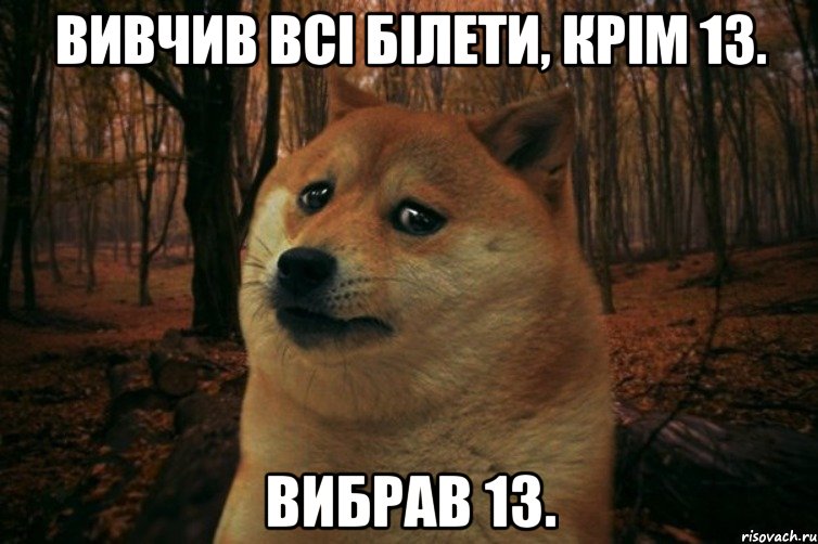 Вивчив всі білети, крім 13. Вибрав 13., Мем SAD DOGE