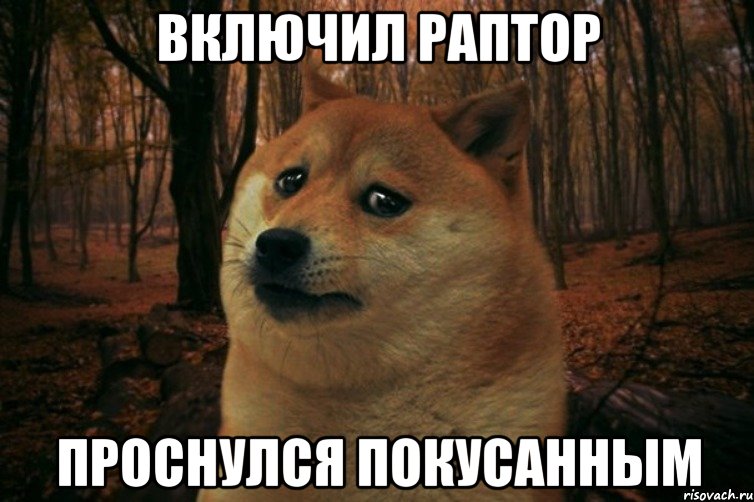 включил раптор проснулся покусанным, Мем SAD DOGE