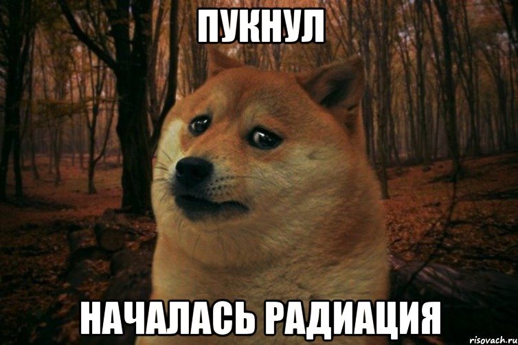 Пукнул началась радиация, Мем SAD DOGE