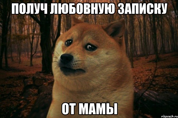 Получ любовную записку От мамы, Мем SAD DOGE