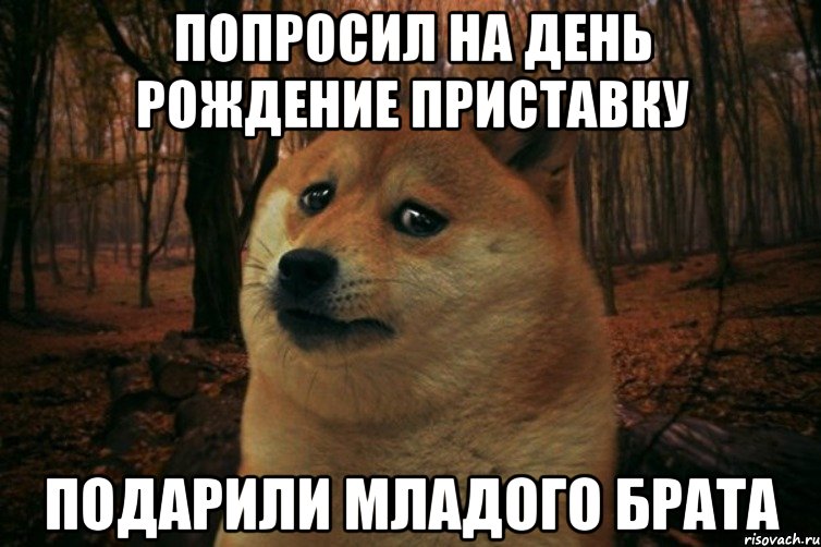 Попросил на день рождение приставку Подарили младого брата, Мем SAD DOGE